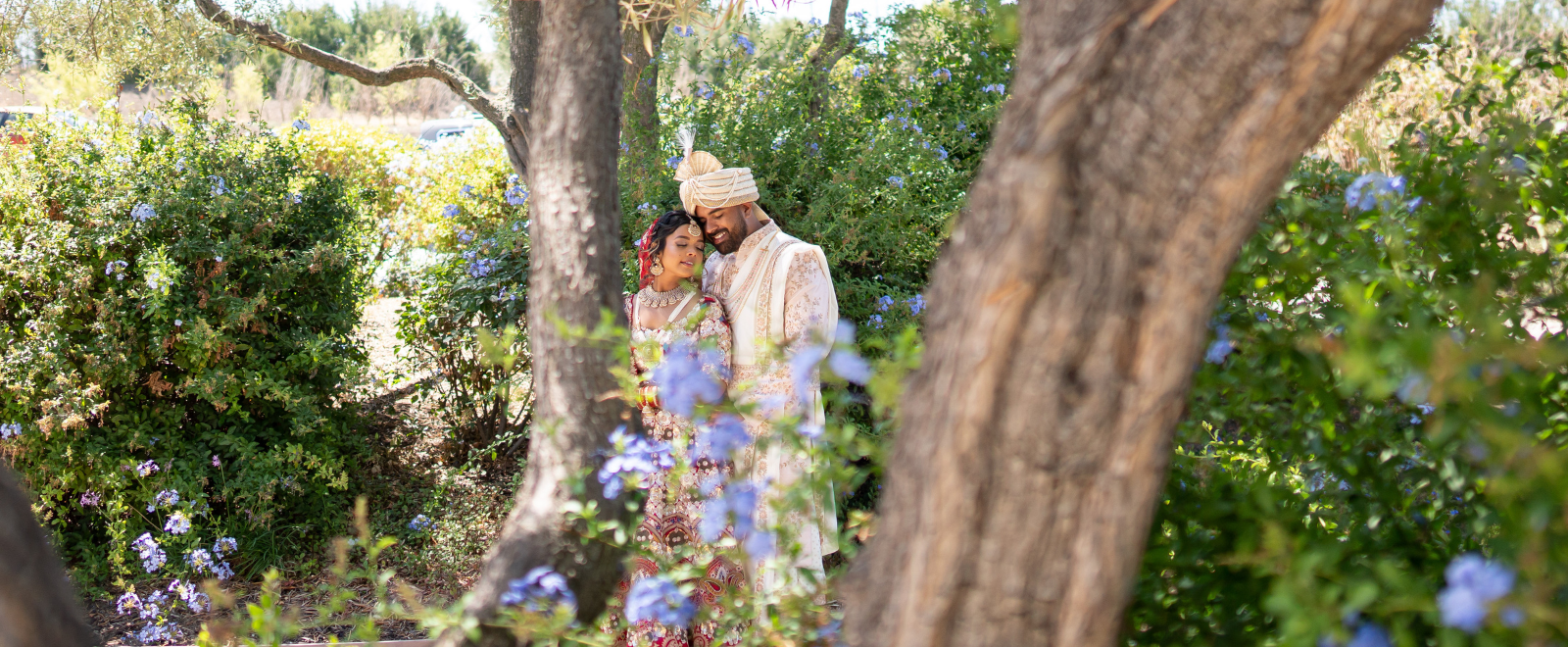 Sasha and Roshun luxury Sikh wedding ceremony at Leal Vineyards in California